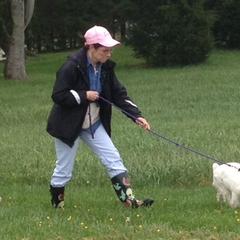 Clumber Spaniel Puppies from SunMagic Clumber Spaniels
