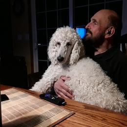 Poodle Puppies from Furball Forest Poodles