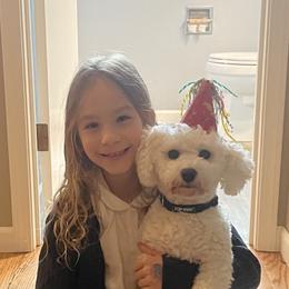 Jett - Bichon Frise