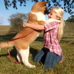 Akita Puppies from TLC Akitas