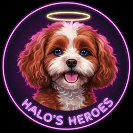 Jolly - Red male Cavapoo puppy in Dallas, Texas from Halo's Heroes Doodles