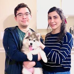 Pomsky Puppies from PomskyParadise