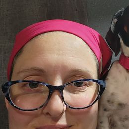 Dachshunds from Dogwood Doxies
