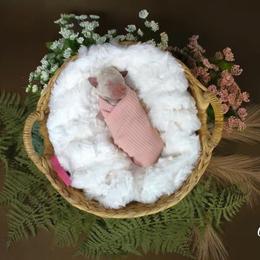 Lily - White female Poodle puppy in Midwest City, Oklahoma from Strawberry Hill Puppy Patch