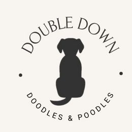 Aussiedoodles and Poodles from Double Down Doodles & Poodles