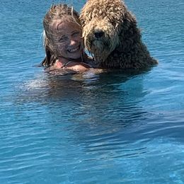 Goldendoodle All Grown Up from Faithfully Yours Doodles