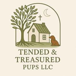 Dachshunds from Tended & Treasured Pups, LLC