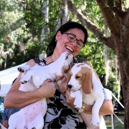 Beagle Puppies from Royal-Tea Beagles