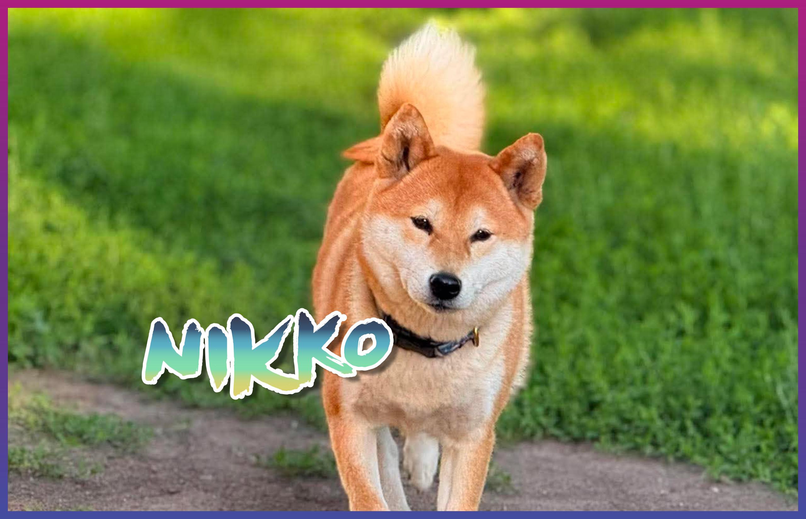 Nikko