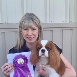 Lily - Cavalier King Charles Spaniel