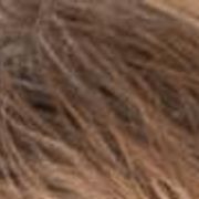 Briards from Briard