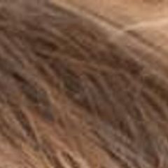 Briards from Briard
