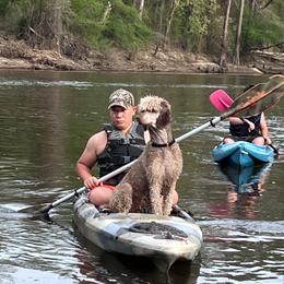 Gracie - Poodle