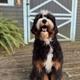 Riggs