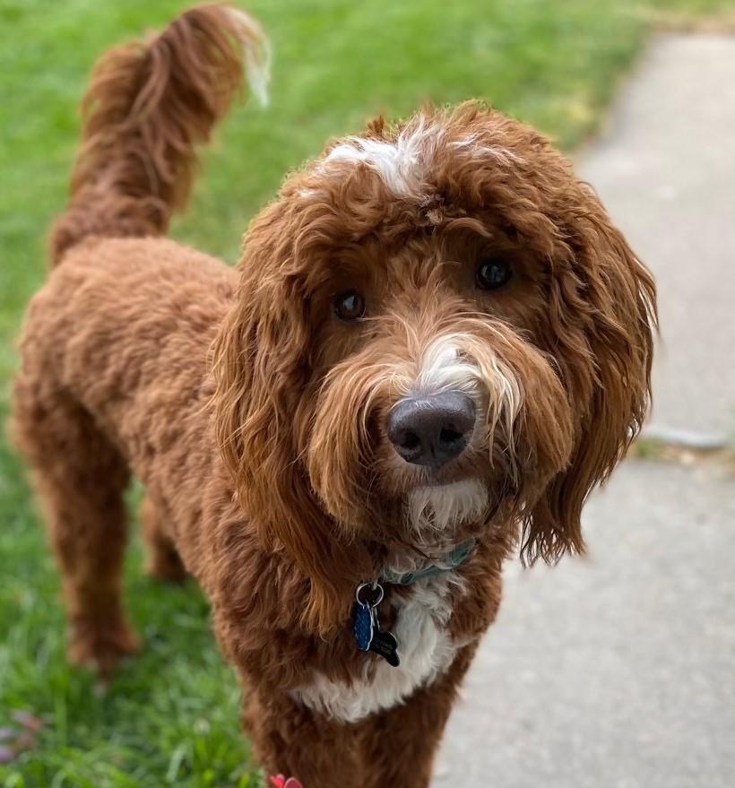 Charlie