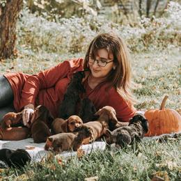 Dachshunds from Lovebug Doxies