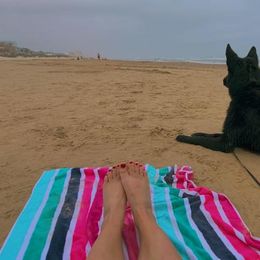 German Shepherd All Grown Up from Kaw-Tal German Shepherds