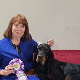 Gordon Setters from Ravenrose Gordon Setters