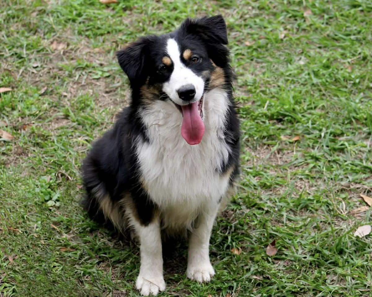 Chloe