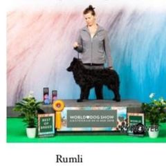 Rumli - Mudi