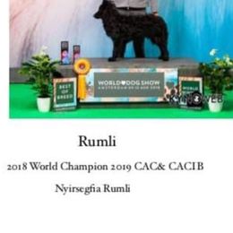 Rumli - Mudi