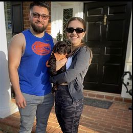 Australian Labradoodle Puppies from Berrybrook Doodles