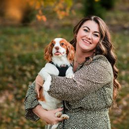 Latte - Cavalier King Charles Spaniel