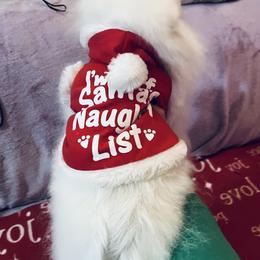 Cole - White male Pomeranian puppy in St. Louis, Missouri from Saint Louis Pomeranian babies