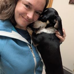 3 - Pinocchio. - Black and cream male Dachshund puppy in Central Point, Oregon from MRS Long Dog Ranch