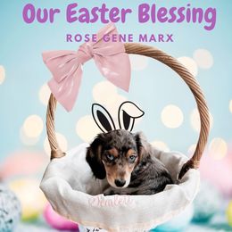 Dachshund Puppies from Heart 2 Heart Puppies