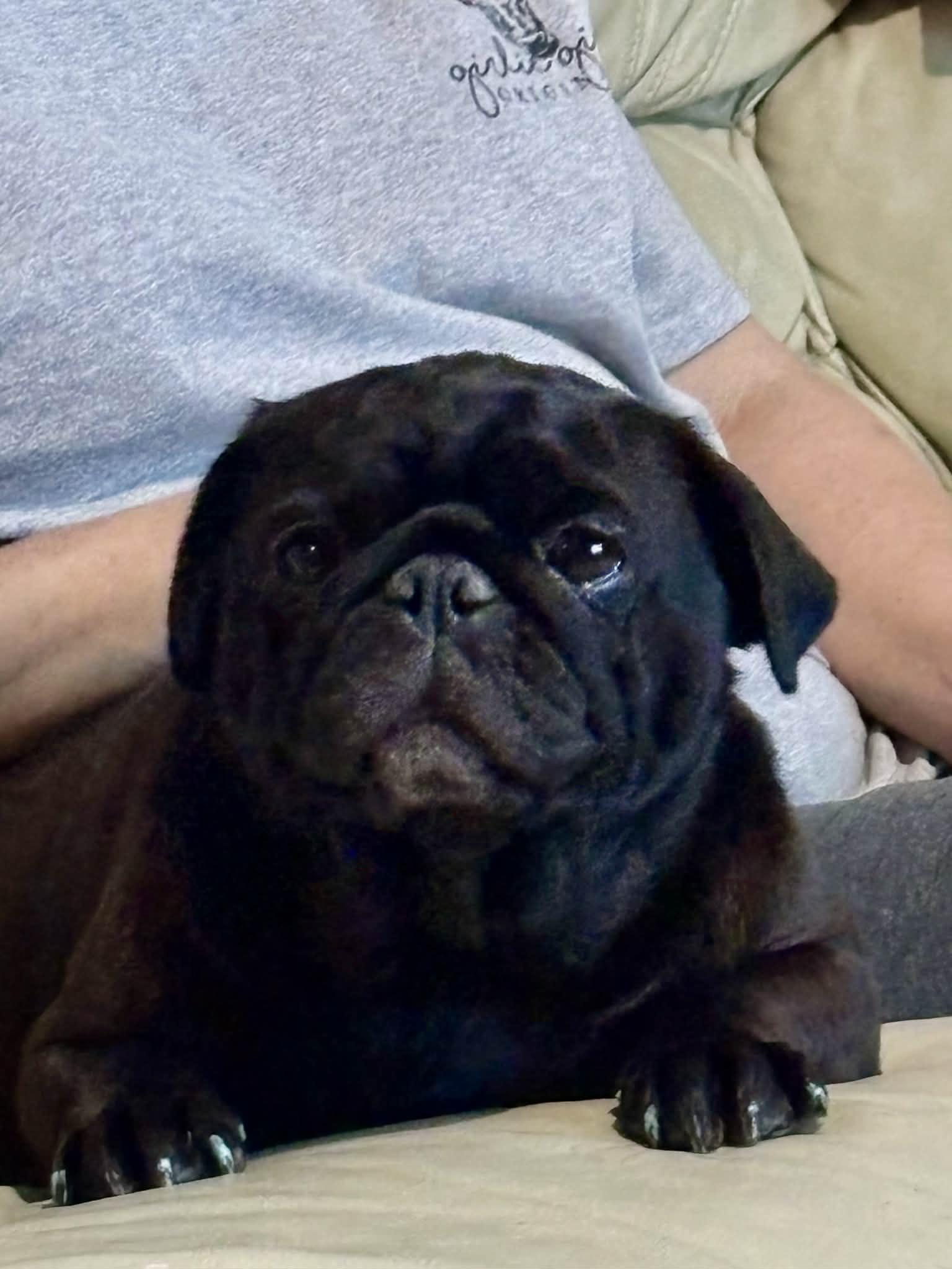 Gracie Mae