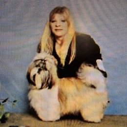 Shih Tzu All Grown Up from Southern Class Shih Tzu