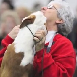 Sy - Ibizan Hound