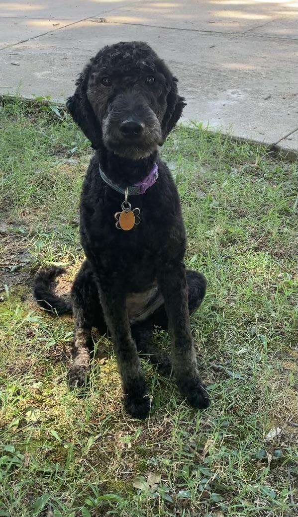 Unnamed