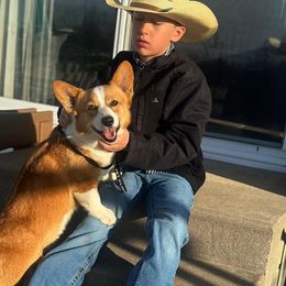 Nova - Pembroke Welsh Corgi