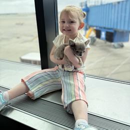 Chihuahua Puppies from Cloud9 Chihuahuas