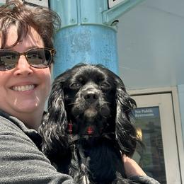 Cavalier King Charles Spaniels from Junebug Cavaliers