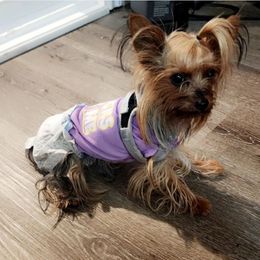 Yorkshire Terrier Puppies from Jazmin Petruchik