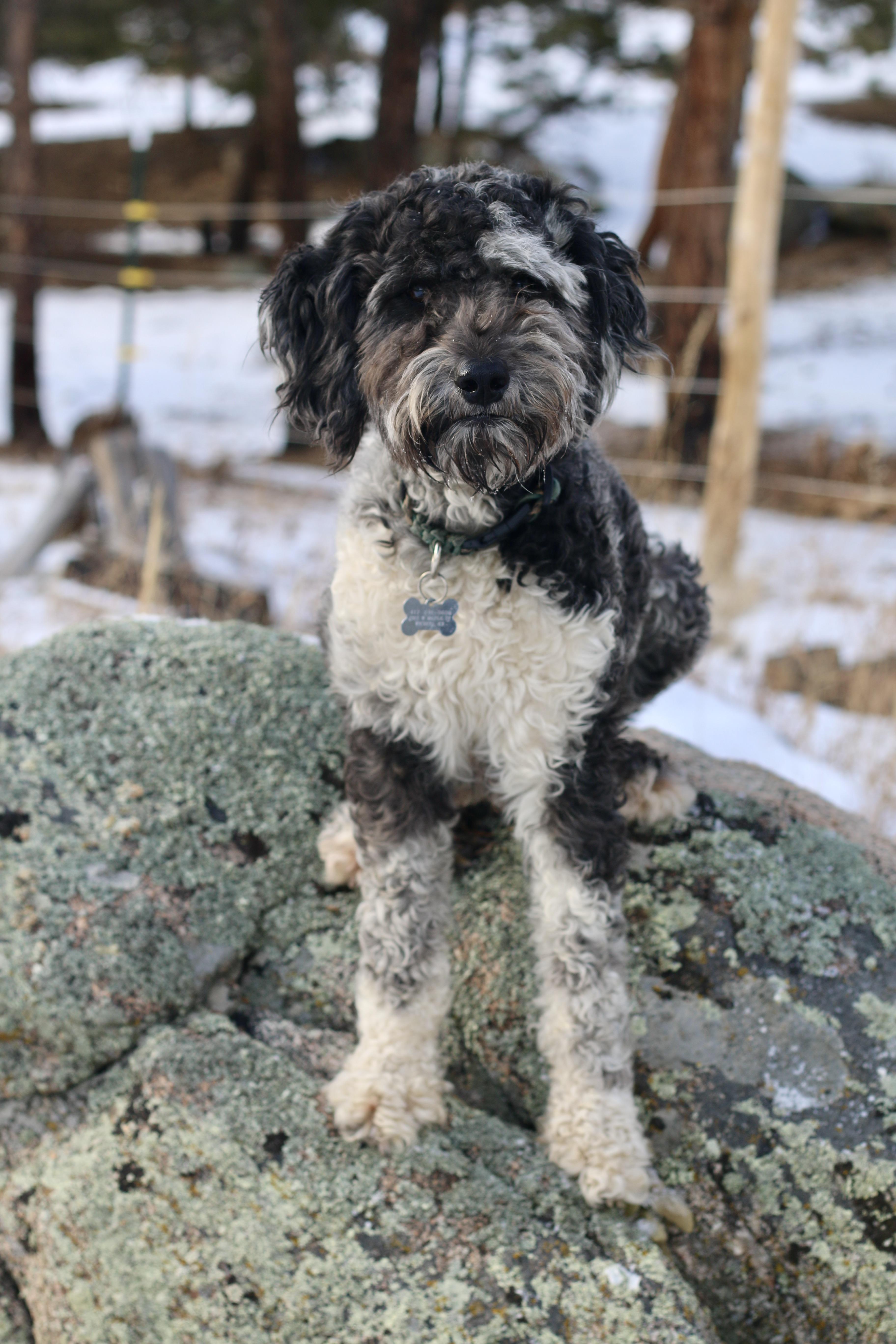 Aspen