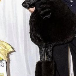 Poodles from StormBorn Standard Poodles