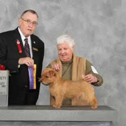 Norfolk Terrier and Norwich Terrier All Grown Up from Infinity Kennels