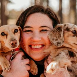 Dachshunds from Crowder Doxies