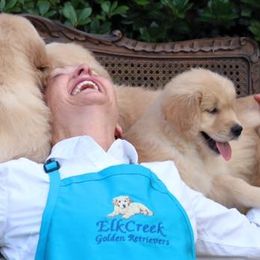 Golden Retrievers from ElkCreek Golden Retrievers