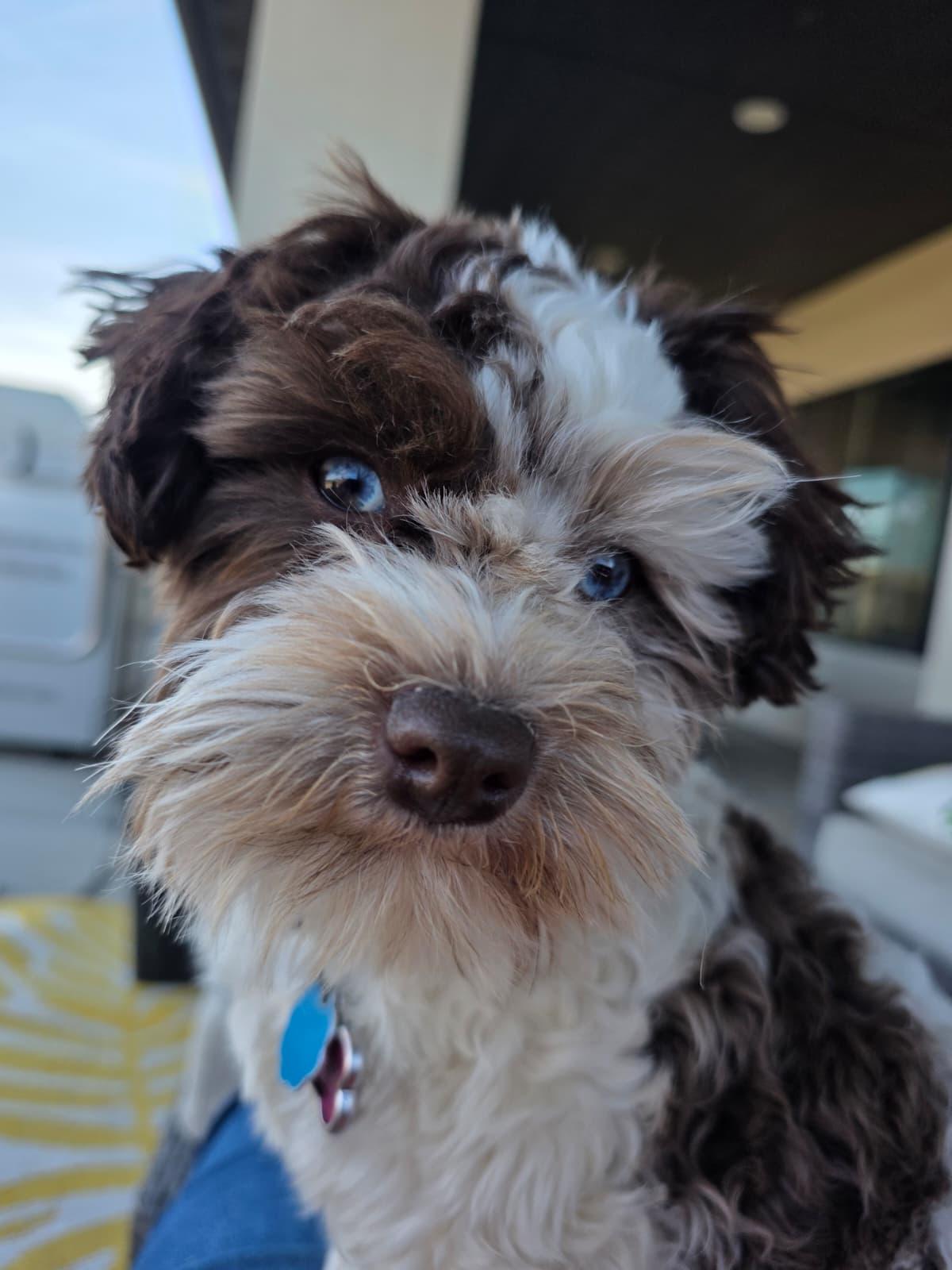 Ella