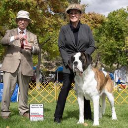 LEAH - Saint Bernard