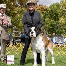 LEAH - Saint Bernard