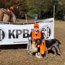German Wirehaired Pointers from Humdinger Kennel