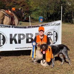 German Wirehaired Pointers from Humdinger Kennel