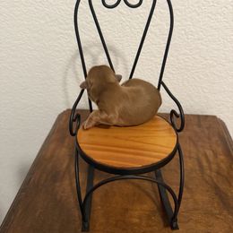 Shih Tzu Puppies from Rustic_Charm_by_Andye