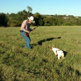 Poodles from Sweetgrass Ranch